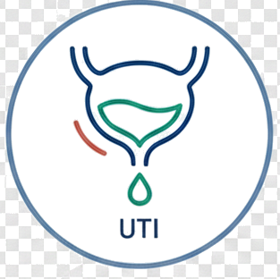 Uncomplicated UTI